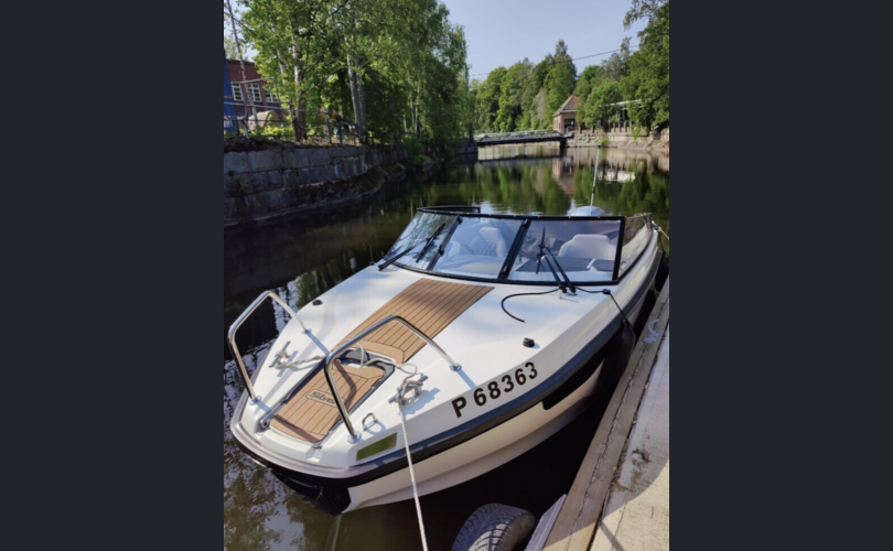 Silver Tiger DC-kuva-2